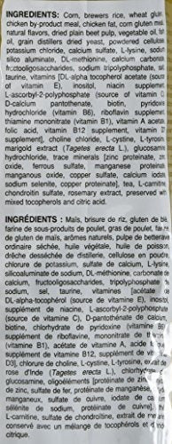 Royal Canin Raza Salud Nutrición Caniche Adulto Pienso Seco