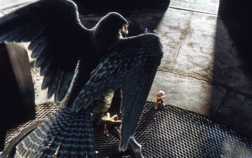 Stuart Little 2 (combo De Blu-ray / dvd De Dos Discos)