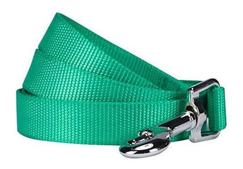 Blueberry Pet 19 Correa Para Perros Clásica Y Duradera De 5