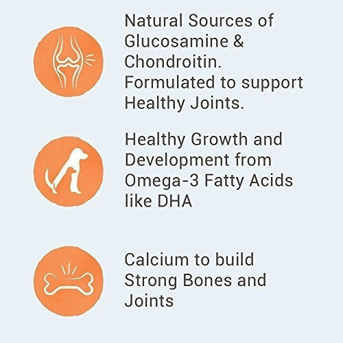 Nutro Wholesome Essentials Cachorro Raza Grande Comida