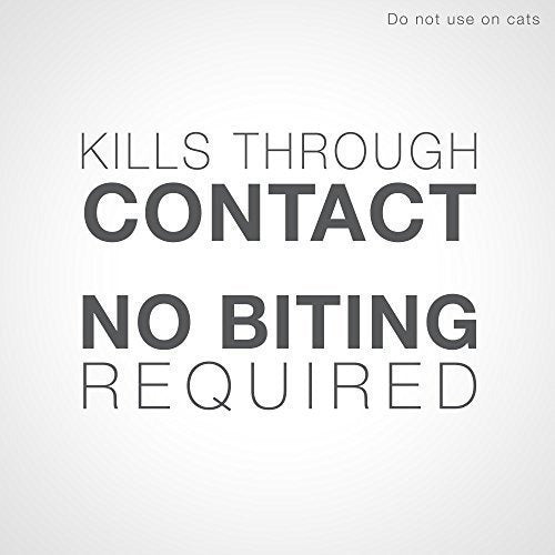 Prevención De Pulgas Garrapatas