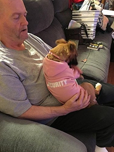 ropa para perro pequeño