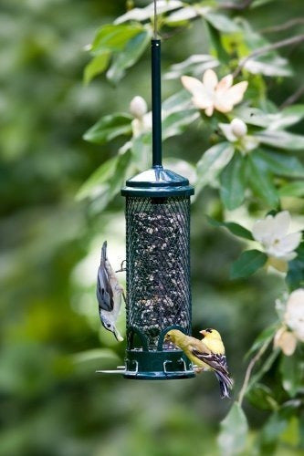 Mini comedero de aves silvestres