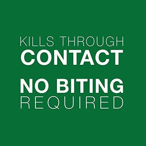 Tratamiento de pulgas para perros pequeños de 3 a 10 libra