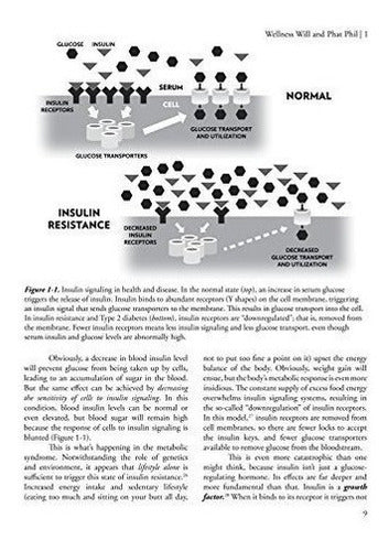 La Receta De Barbell Entrenamiento De Fuerza Para La Vida