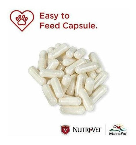 suplementos Para Perros