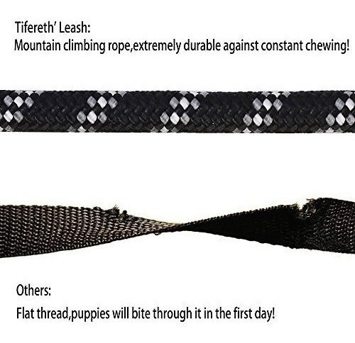 Correas Para Perros Para Perros Medianos Y Grandes