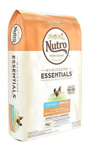 Nutro Wholesome Essentials Cachorro Raza Grande Comida