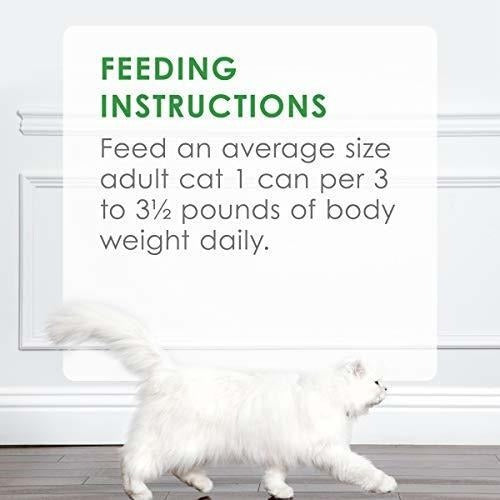 Purina Classic Paté Chopped Grill Feast Comida