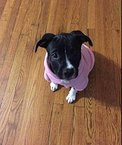 ropa para perro pequeño