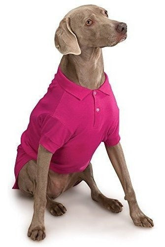 Polo De Algodón Para Perros, 8 X-small, Sorbete