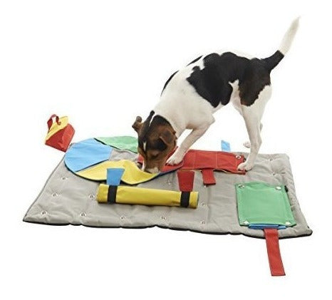 Juguete de iniciación para mascota