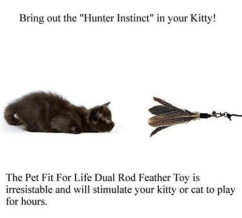 Pet Fit For Life 2 Teaser Y Ejercitador De Plumas Para Gatos