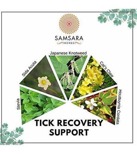 Fórmula Herbal en polvo