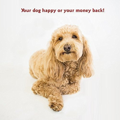 Cama De Perro De Mascota Rectangular De 30x40 Con Funda