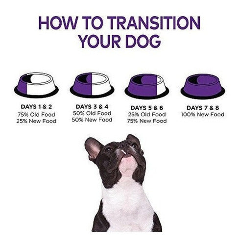 Alimento De Perro Enlatado Húmedo