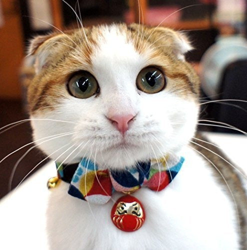 Collar De Gato Necoichi Daruma Charm Bow Tie (rojo)