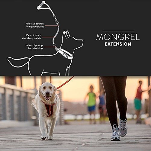 Extensión De Cuerda De Perro