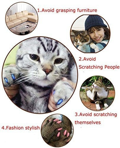 Tapas Cubiertas Para Gatos