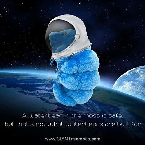 Microbillos Gigantes