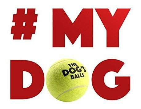 12 Pelotas De Tenis Para perro