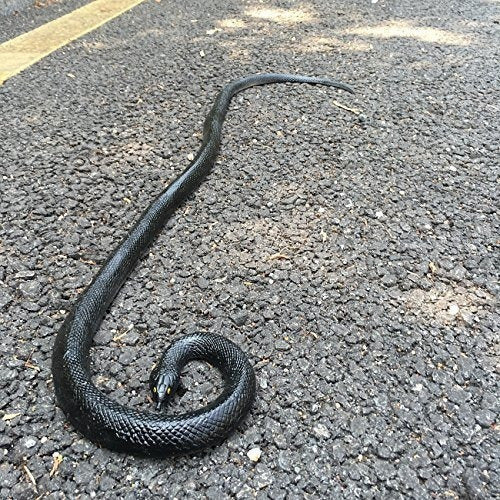 Serpientes Realistas de Caucho