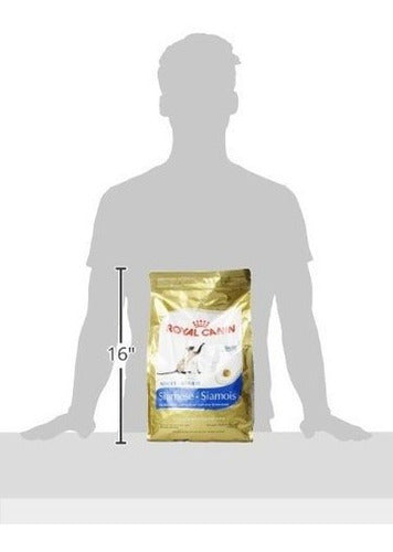 Royal Canin Pienso para gatos adultos de raza siamesa