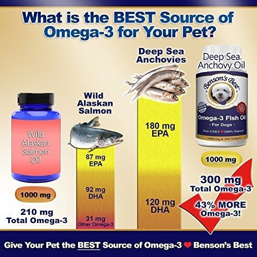 El Mejor Aceite De Pescado Omega-3 De Benson Para Perros