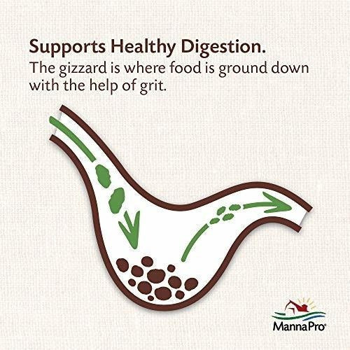 rano de aves de corral con probióticos