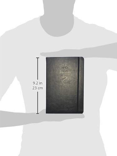 Planificación Diaria Guiada