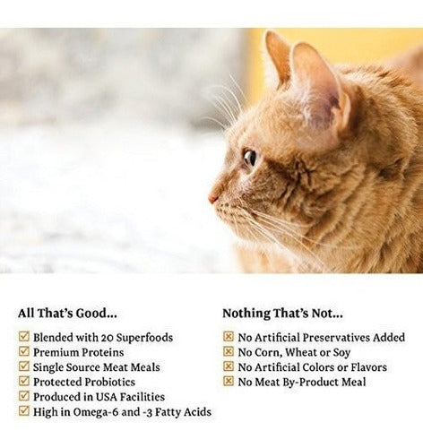 Alimento Seco Para Gatos De Grano Sólido