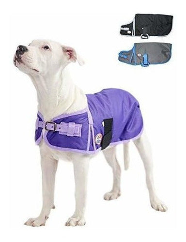 Derby Originals 600d Prenda Impermeable Para Perros Aislada