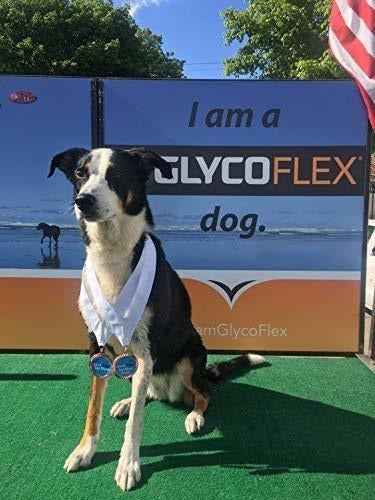 Laboratorios Plus, Suplemento para mascotas