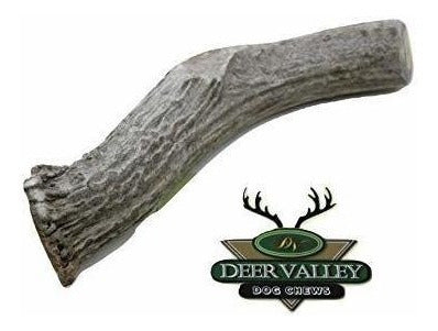 TRATAMIENTO DENTAL DE PERROS