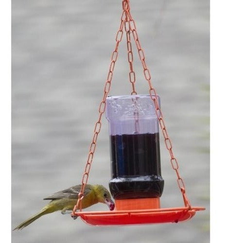 Comedero para pájaros silvestres