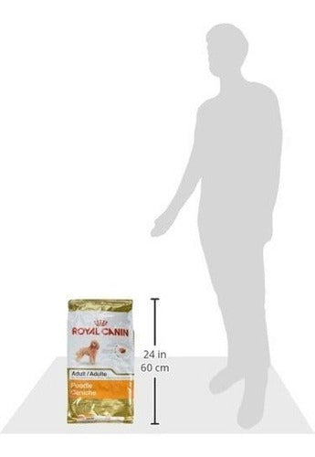 Royal Canin Raza Salud Nutrición Caniche Adulto Pienso Seco