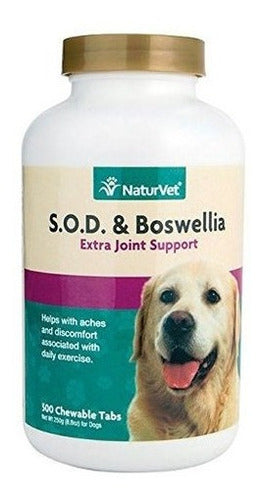 medicina de mascota que alivia los dolores y las molestias