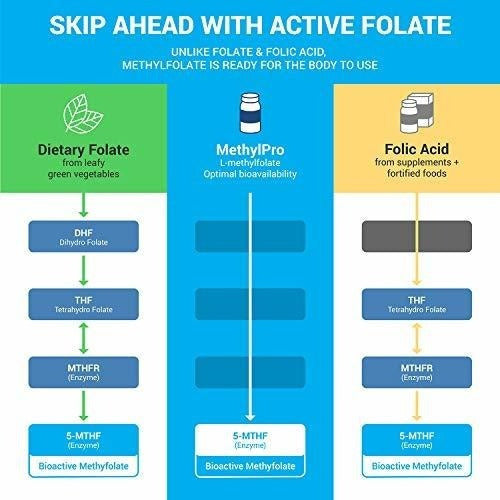 Complejo B 15 Vitaminas B de fuerza profesional para energía