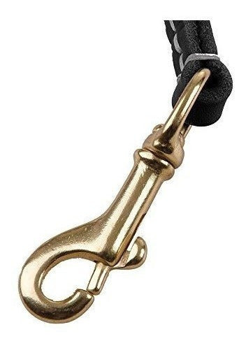 Correa Para Perro Pequeña Y Mediana De 4 Pies