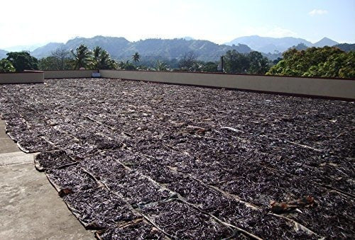 25 granos de vainilla grado B de extracto de Tahití 4 6