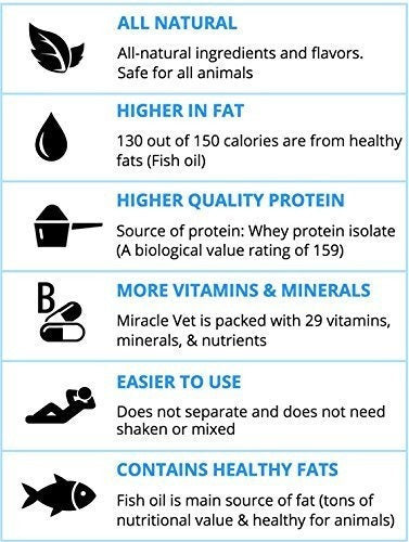 Ganador De Peso De Alto Contenido Calórico Para gatos