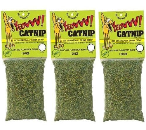 Suministros de mascotas Gatos