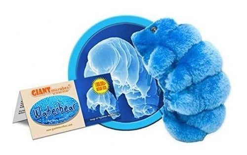 Microbillos Gigantes