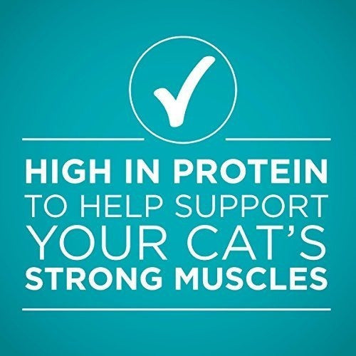 Purina One True Instinct Recetas Comida Húmeda Para Gatos