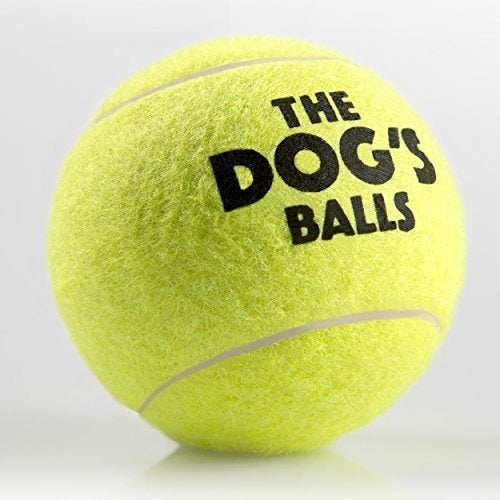 12 Pelotas De Tenis Para perro