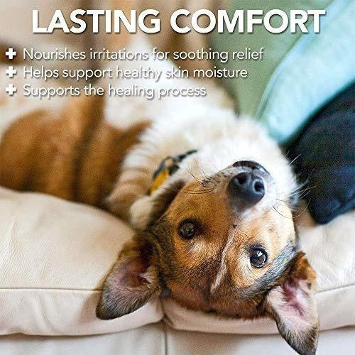 Spray De Alivio De Picazón Para Perros