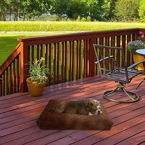 Cama Impermeable Para Mascotas Con Espuma