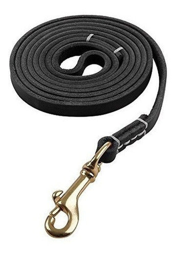 Correa Para Perro Pequeña Y Mediana De 4 Pies