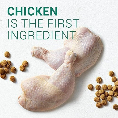 Nutro Wholesome Essentials Cachorro Raza Grande Comida