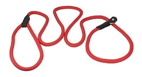 Collar Y Correa para perros